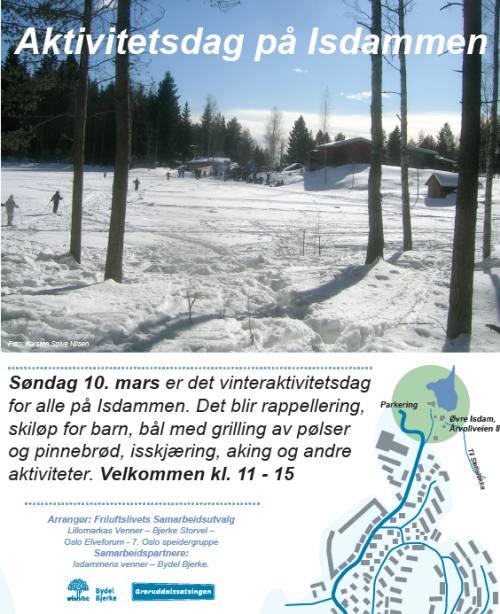 Vinteraktivitetsdag Isdammen 2013