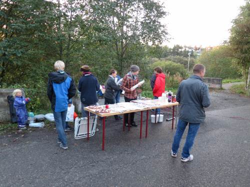 Lysvandring 2013