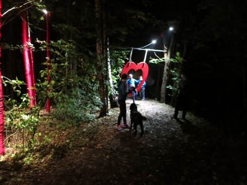 Lysvandring 2013