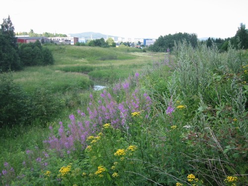 Smalvollen