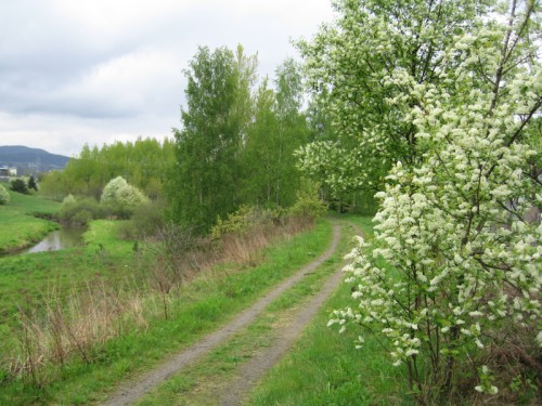 Smalvollen