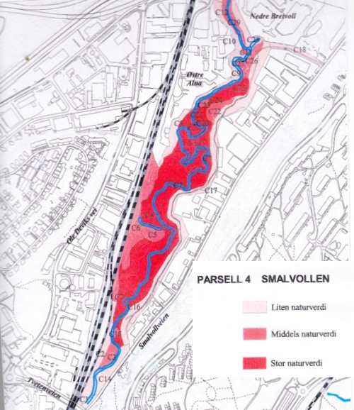 Flora og vegetasjon - Smalvollen