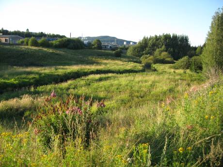 Smalvollen