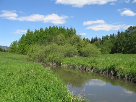 Smalvollen