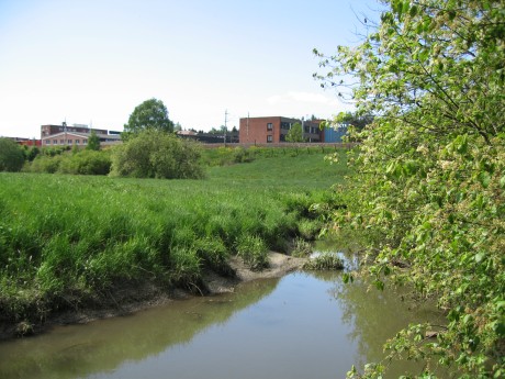 Smalvollen