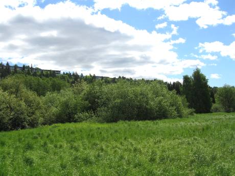 Smalvollen