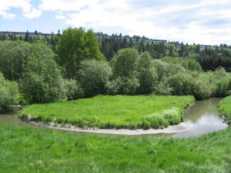 Smalvollen