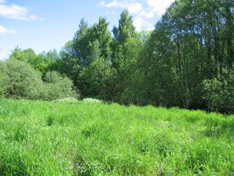 Smalvollen