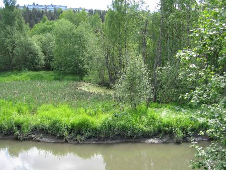 Smalvollen