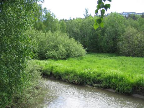 Smalvollen
