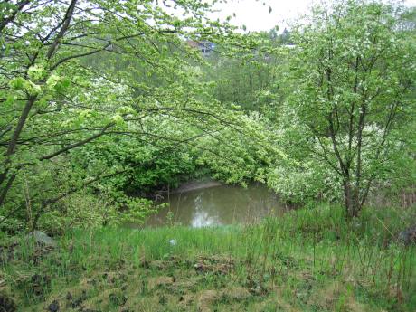Smalvollen
