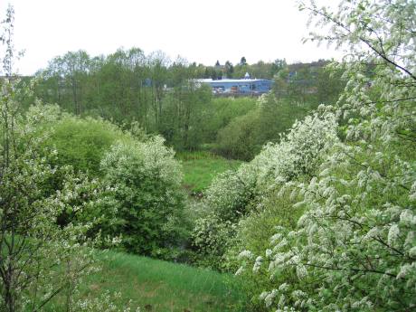 Smalvollen