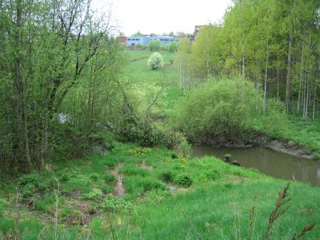 Smalvollen