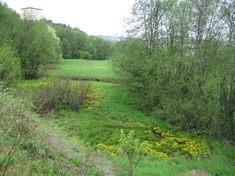 Smalvollen