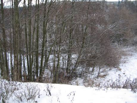 Smalvollen