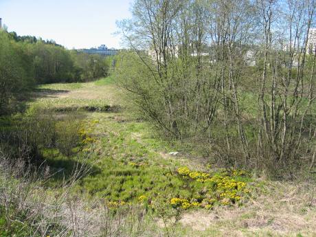 Smalvollen