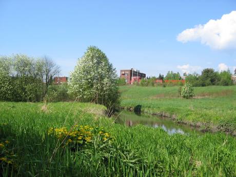 Smalvollen