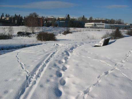 Smalvollen