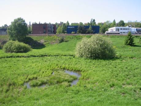 Smalvollen