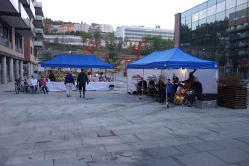 Lysvandring Alnaelva 2015