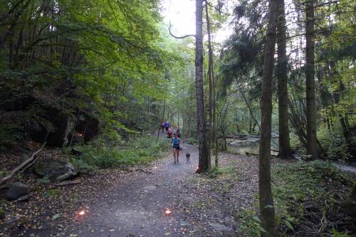 Lysvandring Alnaelva 2015