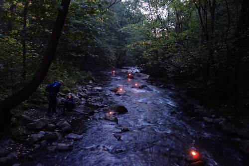 Lysvandring Alnaelva 2015