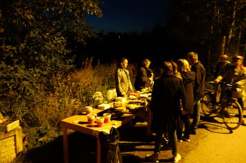 Lysvandring Alnaelva 2015